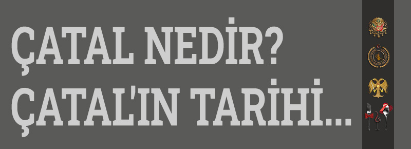 Çatal Nedir? Çatal'ın Tarihi...