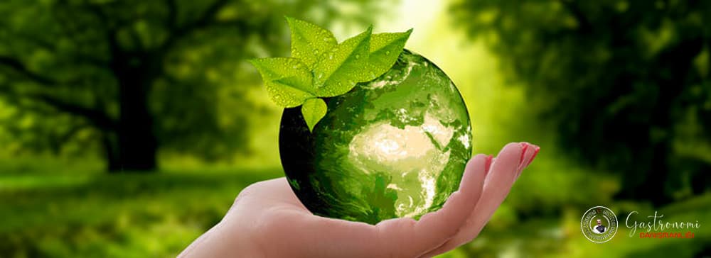 Sürdürülebilir Çevresel Danışmanlık