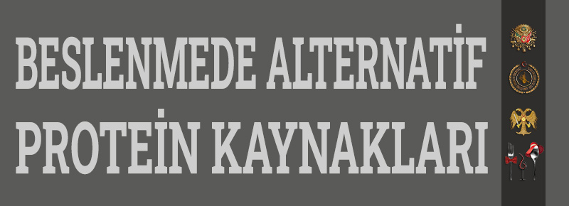 Beslenmede Alternatif Protein Kaynakları Nelerdir?