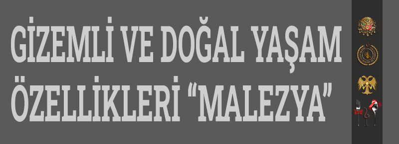 Gizemli Ve Doğal Yaşam Özellikleri “Malezya” 