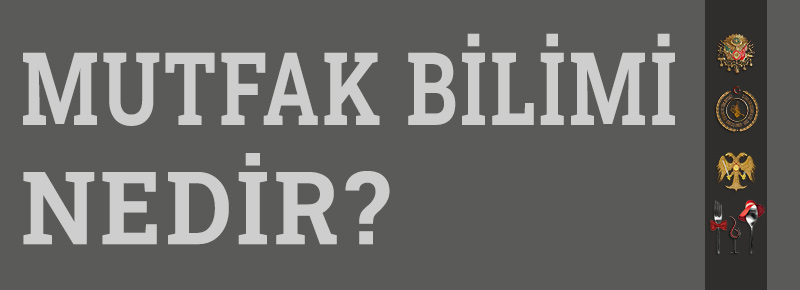 Mutfak Bilimi Nedir?