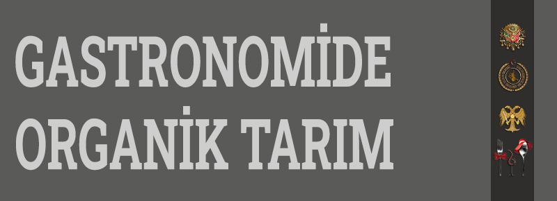 Sürdürülebilir Gastronomide Organik Tarım ve Önemi