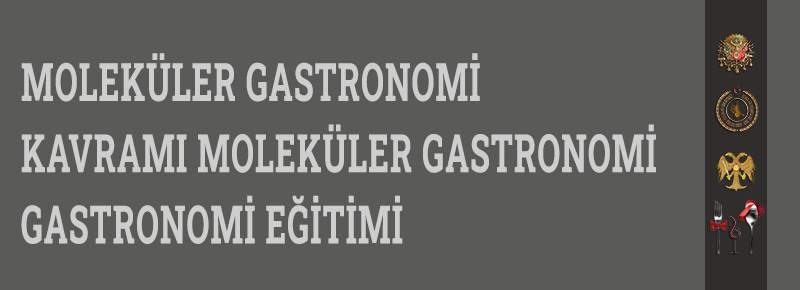 Moleküler Gastronomi Nedir?