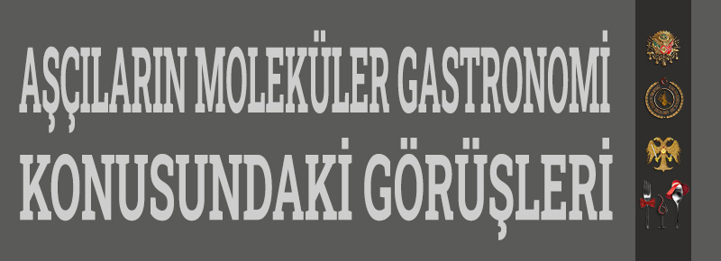 Moleküler Gastronomi Konusundaki Görüşler