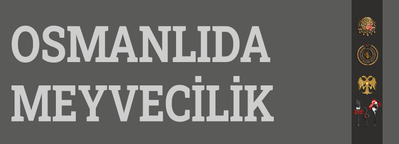 Osmanlıda Meyvecilik Nedir?