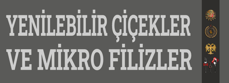 Yiyecek İçecek Sektöründe Yenilebilir Çiçekler Ve Mikro Filizler