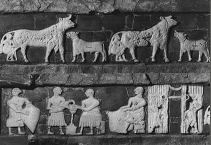 M.Ö. 2900 2460’a ait bir Babil kabartma figüründe süt üretimi ve işlenmesi.